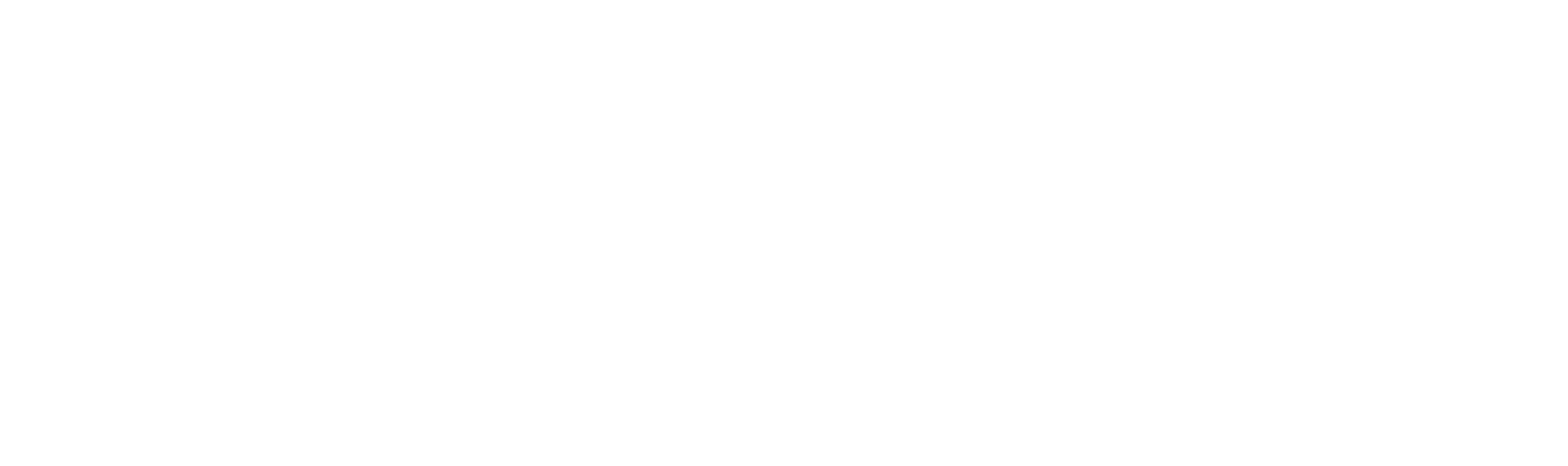 Nieman Groep